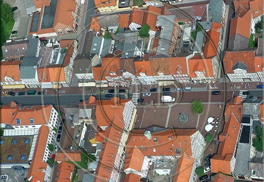 Foto des Monats August 2006 hmo