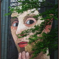 Foto des Monats Oktober 2008  bjo