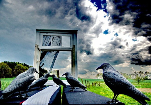 Foto des Monats November 2008  dsa