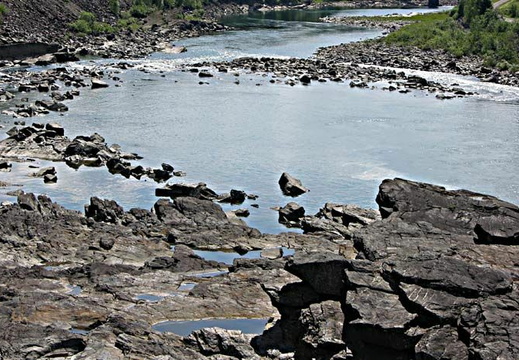  Foto des Monats März 2009 