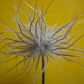 bild des monats 2009 10 rbra