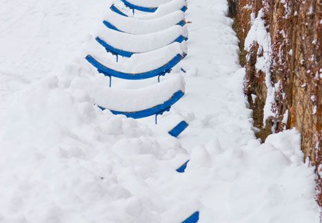 bild des monats 2010 02 bhas