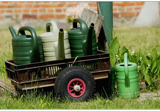 bild des monats 2010 07 gwun