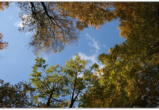 bild des monats 2010 11 hjbo