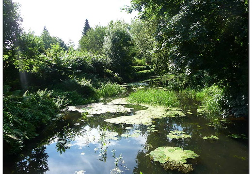 bild des monats 2011 07 abau