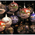bild des monats 2011 12 eschr