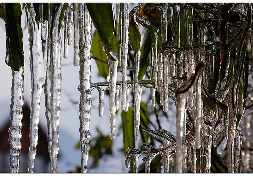 bild des monats 2012 01 fhalw