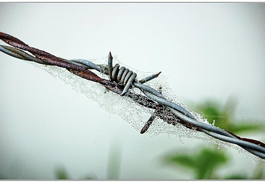 bild des monats 2011 11 dsau