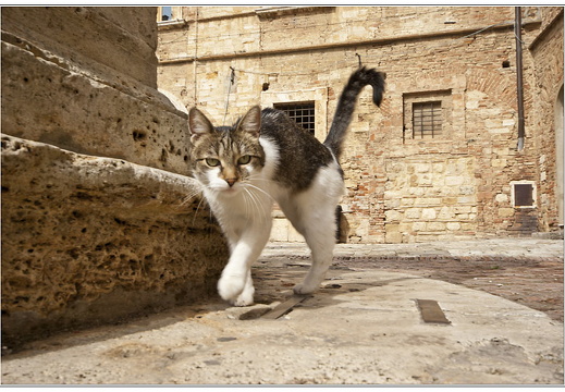 bild des monats 2012 03 gwal