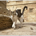 bild des monats 2012 03 gwal