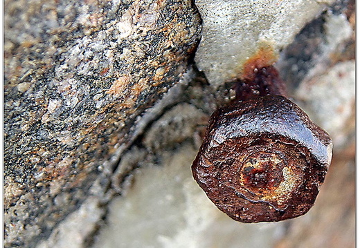 bild des monats 2012 11 urho