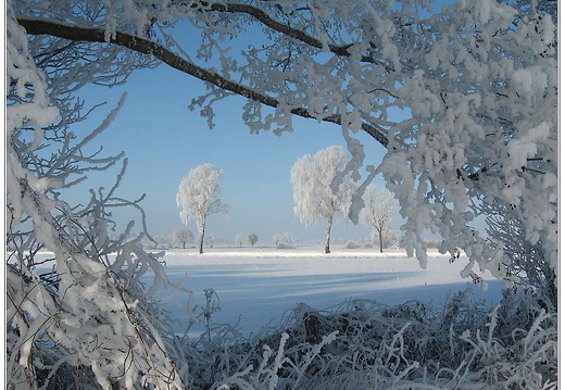 bild des monats 2012 12 gzim