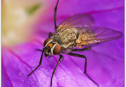 bild des monats 2013 05 afri