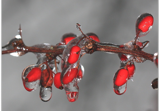 bild des monats 2014 01 kmay