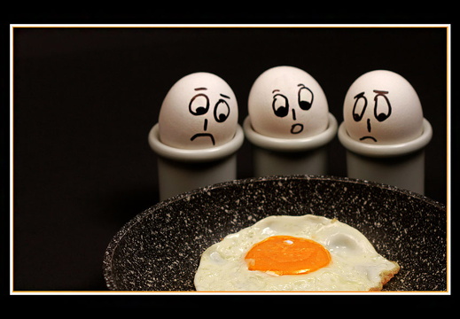 bild des monats 2014 04 uroh