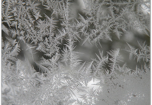 bild des monats 2014 02 gwag