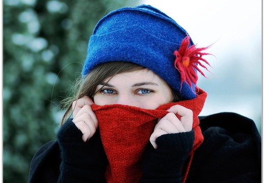 bild des monats 2014 03 fbor