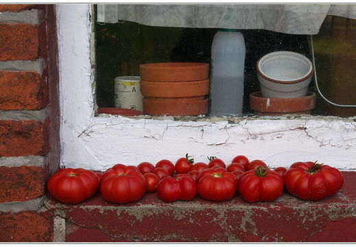 bild des monats 2014 09 gwun