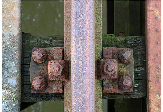 bild des monats 2015 08 uroh