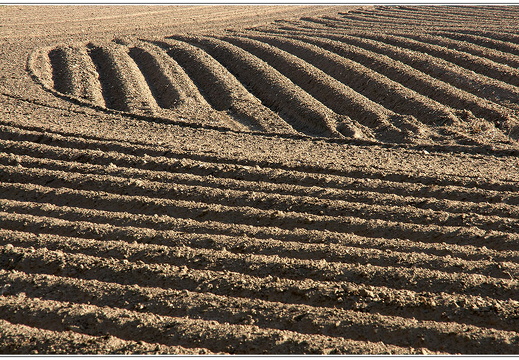 bild des monats 2016 05 gwund