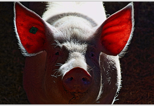 bild des monats 2016 07 kmay