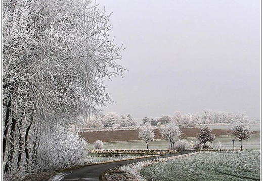 bild des monats 2017 01 eschr