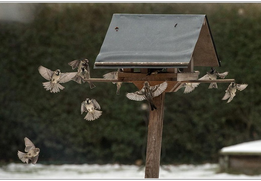 bild des monats 2017 02 eklar