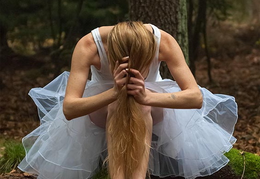 bild des monats 2017 04 fbor