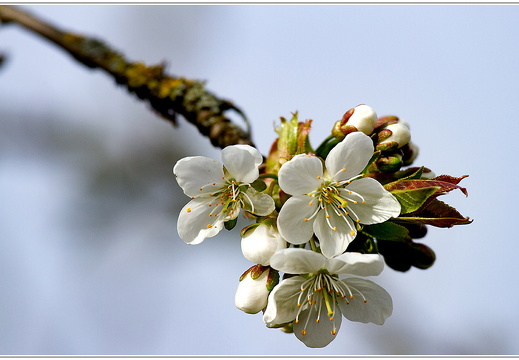 bild des monats 2017 05 bhas