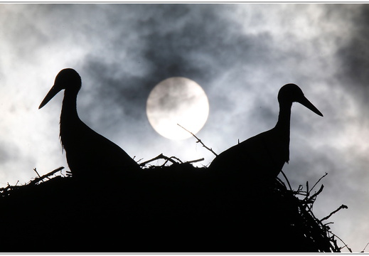 bild des monats 2017 08 kmay