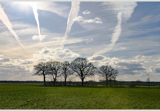 bild des monats 2017 10 afri