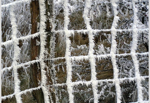 bild des monats 2018 01 eschr