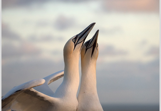 bild des monats 2018 04 slei