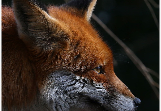 bild des monats 2018 05 akni