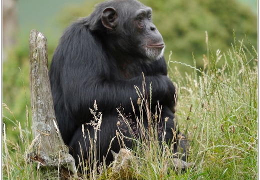 bild des monats 2018 07 abau