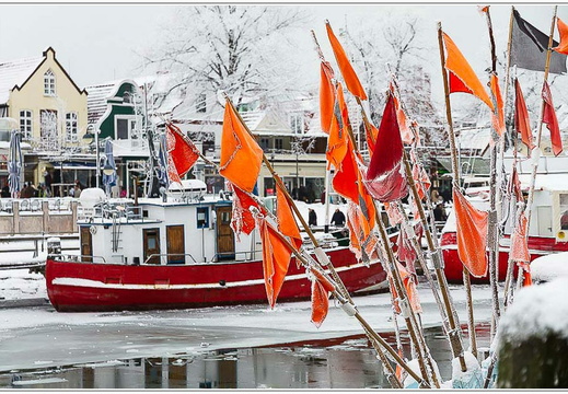 bild des monats 2020 01 afri