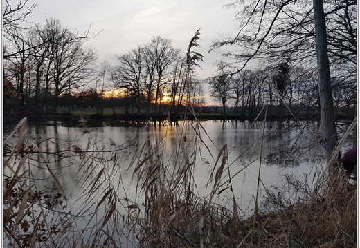 bild des monats 2020 02 dgeh