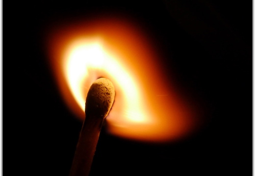 bild des monats 2020 04 dwen