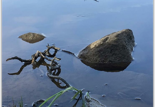 bild des monats 2020 05 gwal