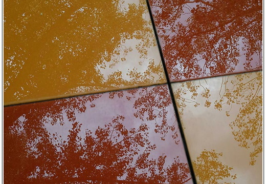 bild des monats 2020 09 gwal