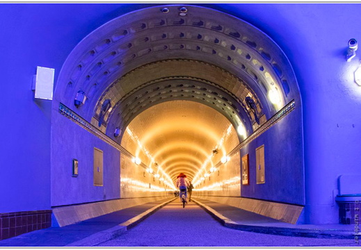 bild des monats 2020 11 twin