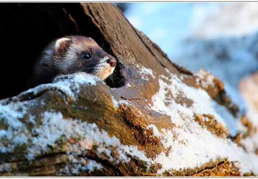 bild des monats 2021 01 akni