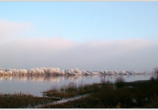 bild des monats 2021 02 gwun