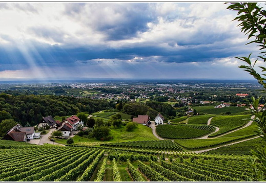 bild des monats 2021 07 wloh