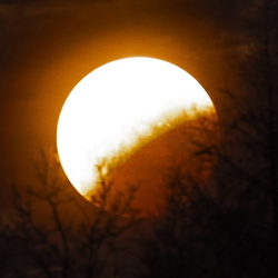 Manfred R. Dannenberg