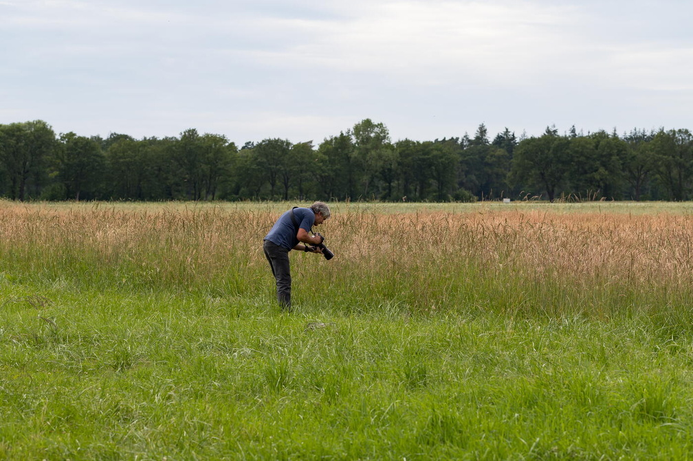 wloh Barockgarten Künsche 2022 2022 06 17 1949