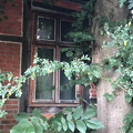 Schattendasein 