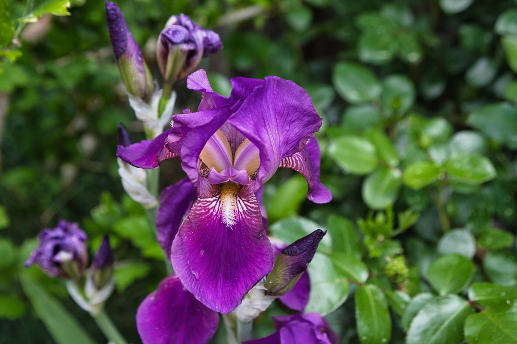 wloh 2022 05 21 1658