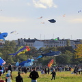 mrda IMG 4411