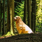 Auswahl für Foto des Monats November
